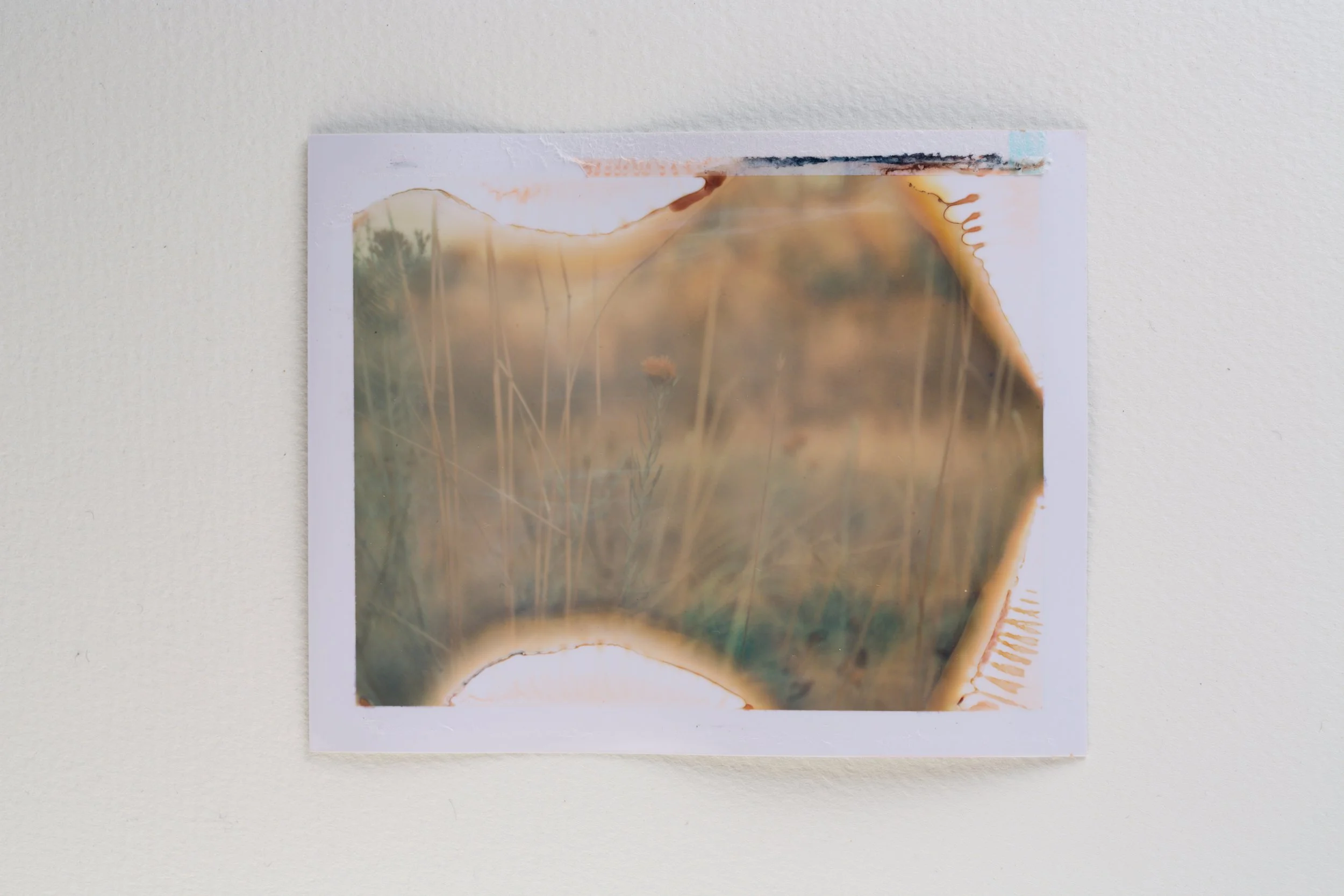 fuji fp-1 - 669-590-Edit.jpg