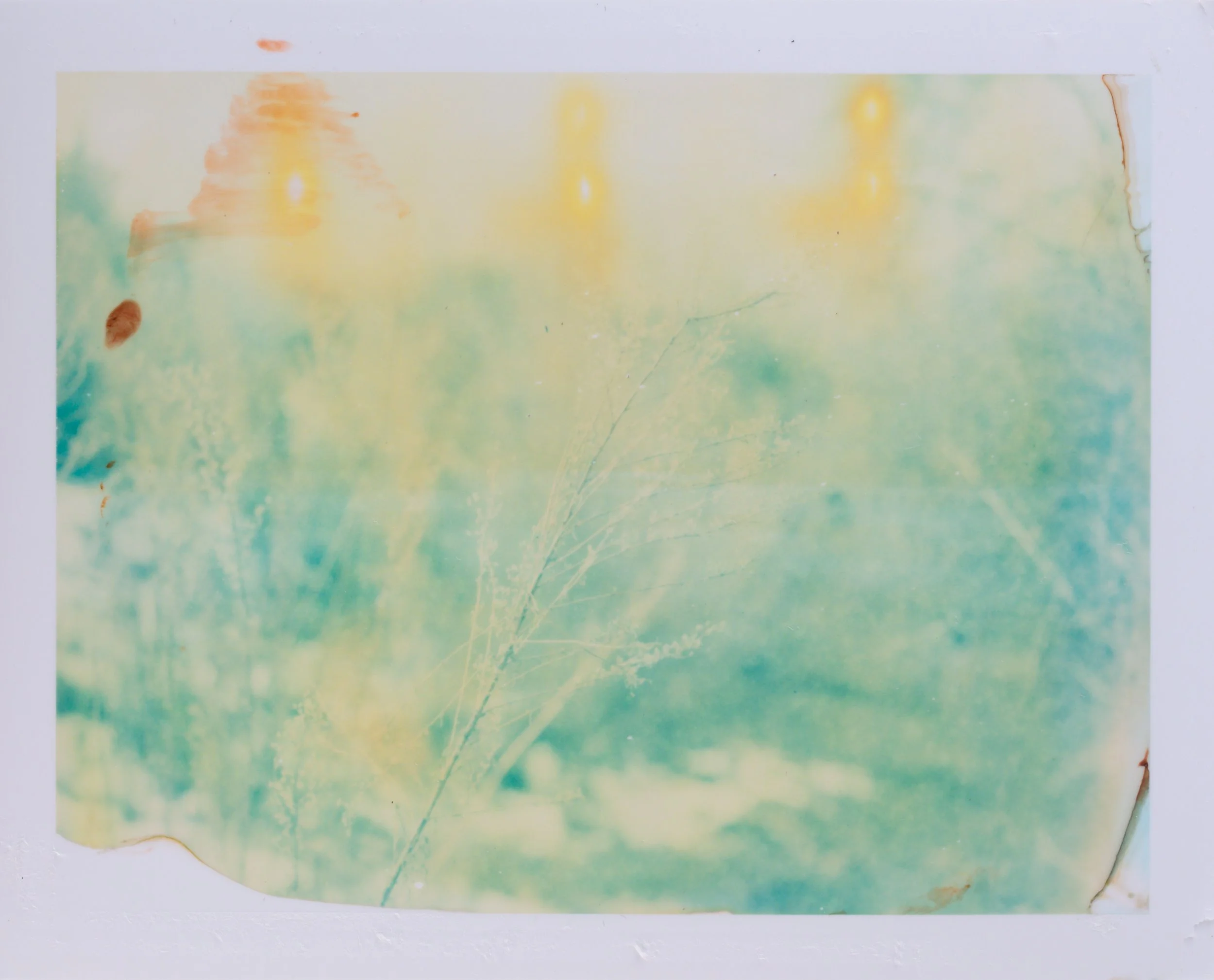 project : amber hope