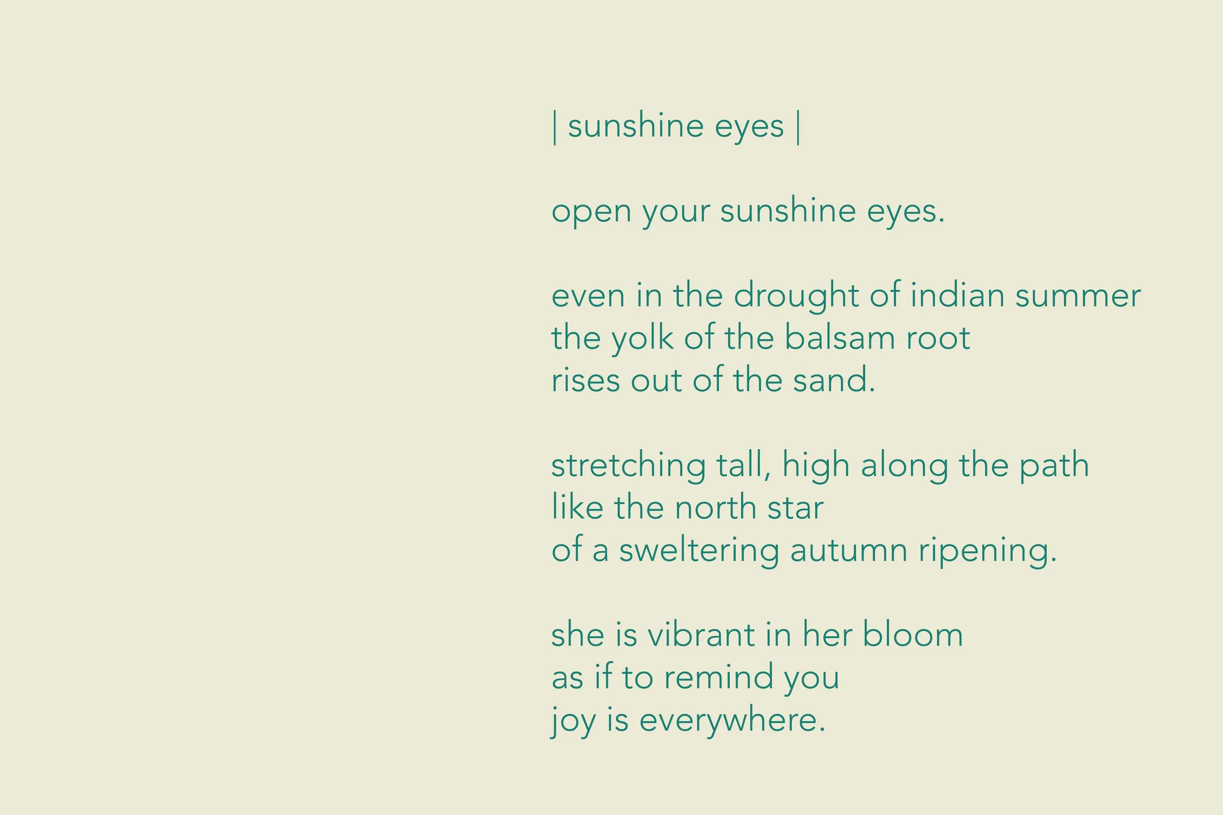 sunshine eyes.jpg
