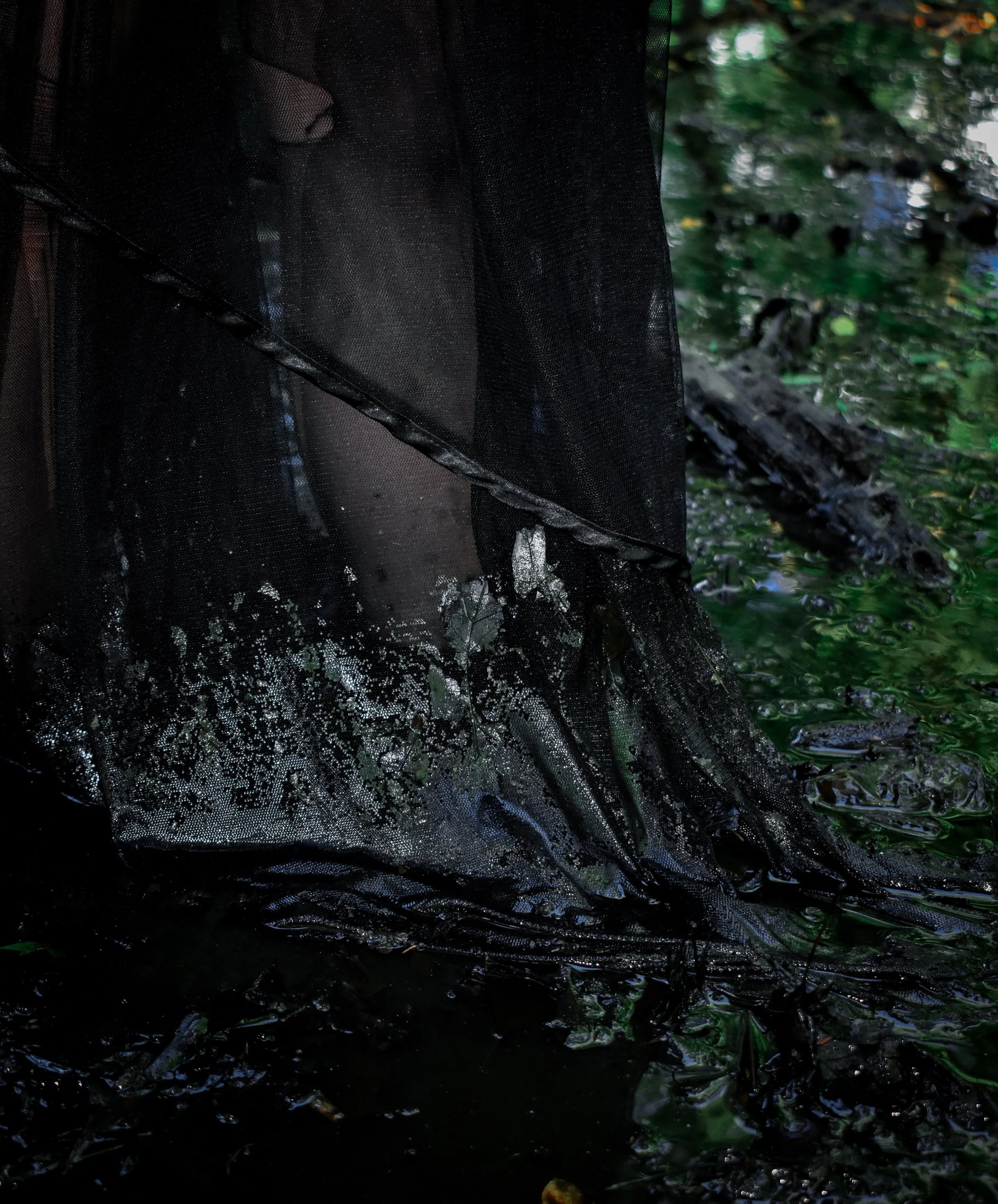 20240617225513-17705310 (1).jpg