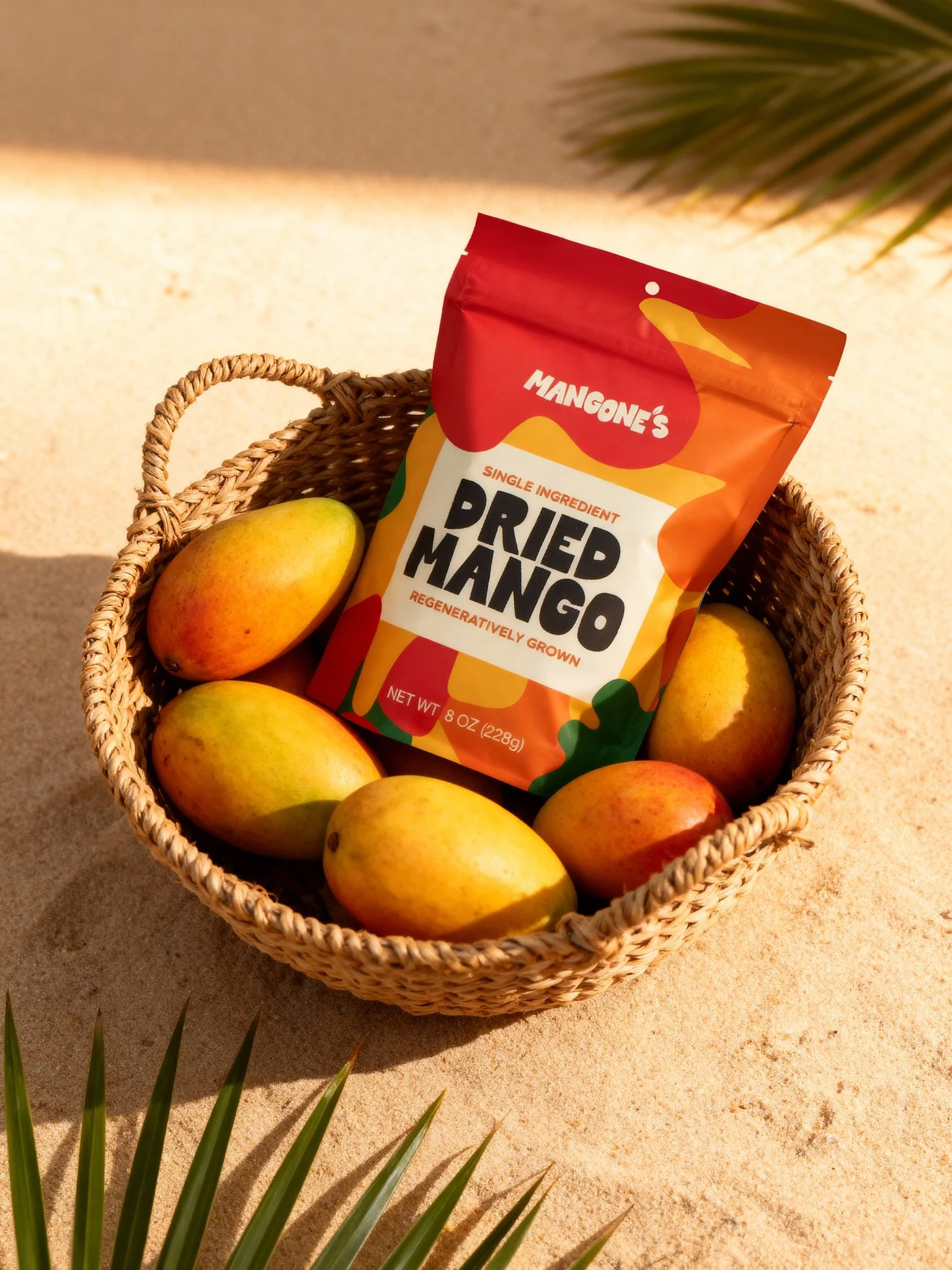 Mangone_s_LHPhoto_1025_RebrandShoot_V02_02.jpg