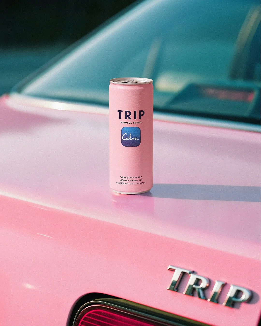 trip-pink-car-trunk.jpg