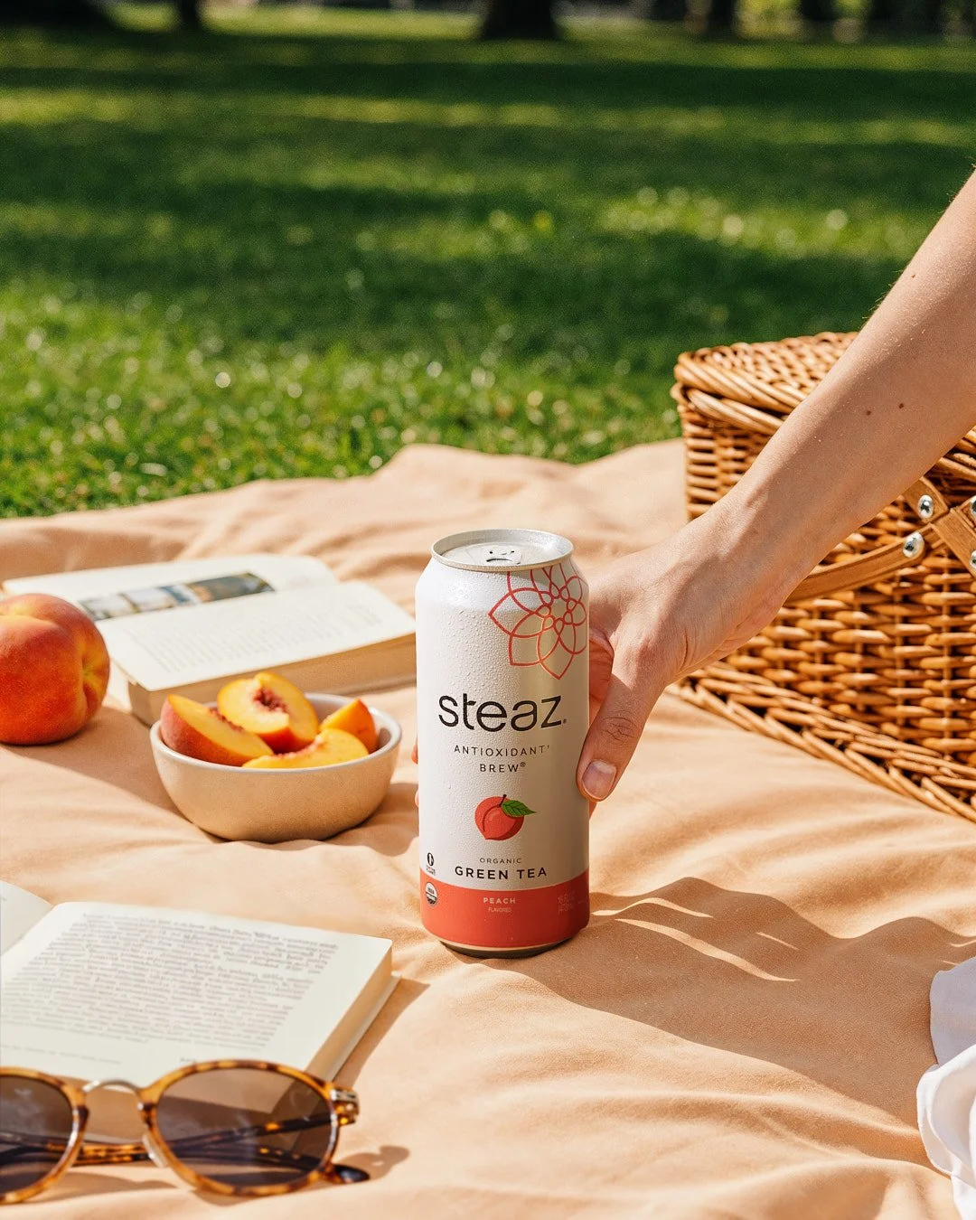 steaz-iced-tea-picnic-outdoors.jpg