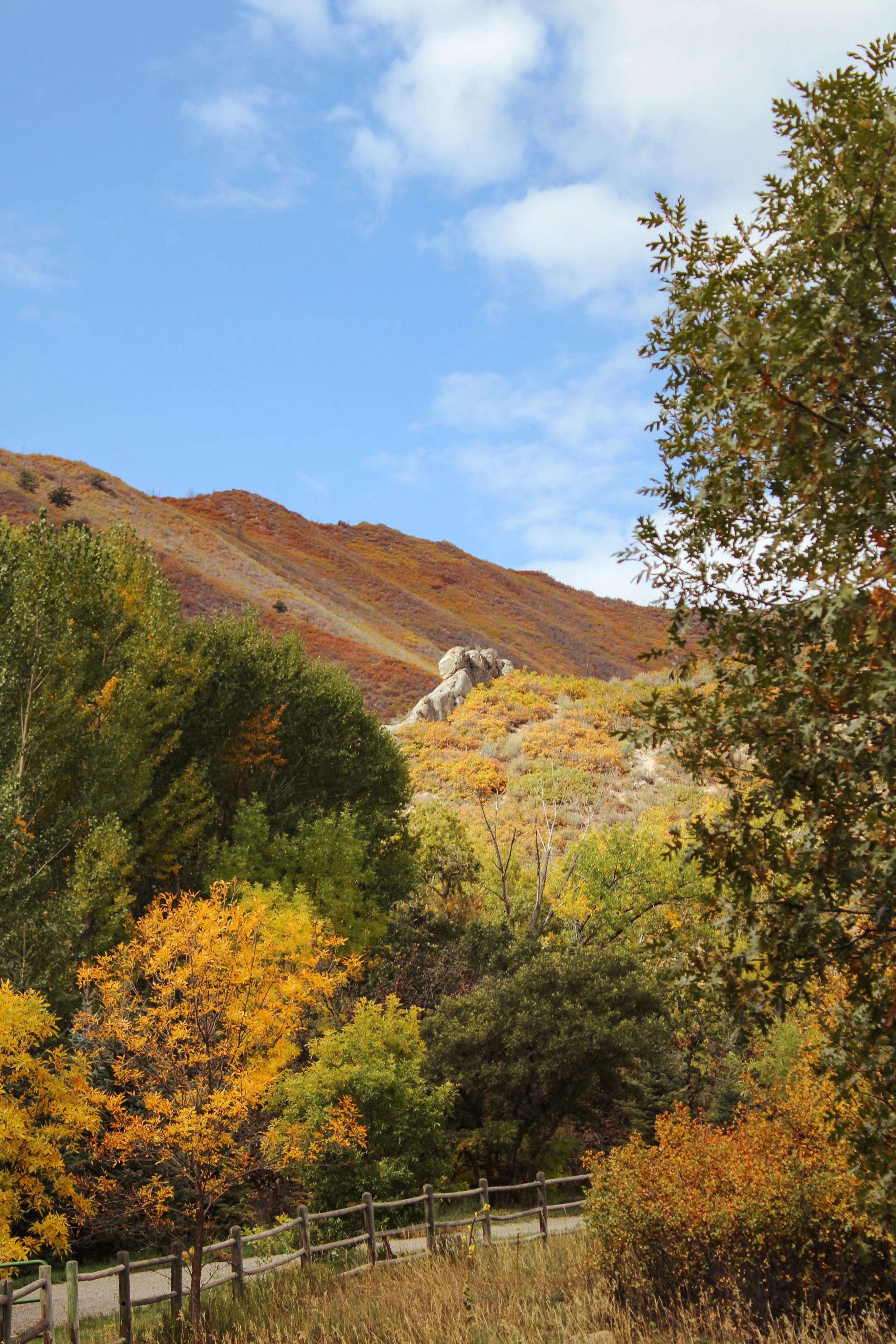 Scenic view of fall foliage with trees in yellow and green, a dirt path with a wooden fence, and a mountain in the background under a partly cloudy sky.