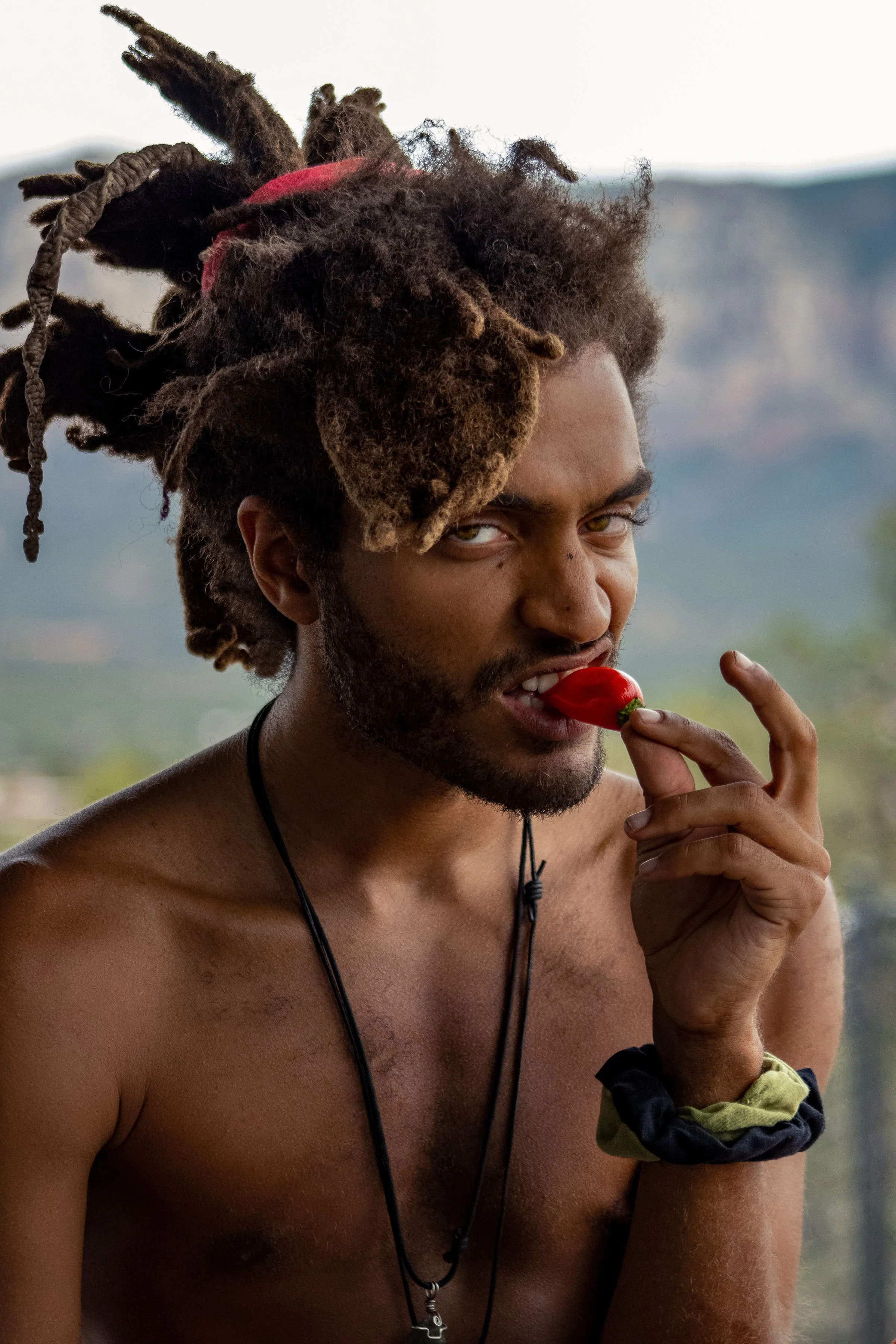 A shirtless man with dreadlocks and a necklace is holding and biting a small red chili pepper, with a blurred landscape in the background.