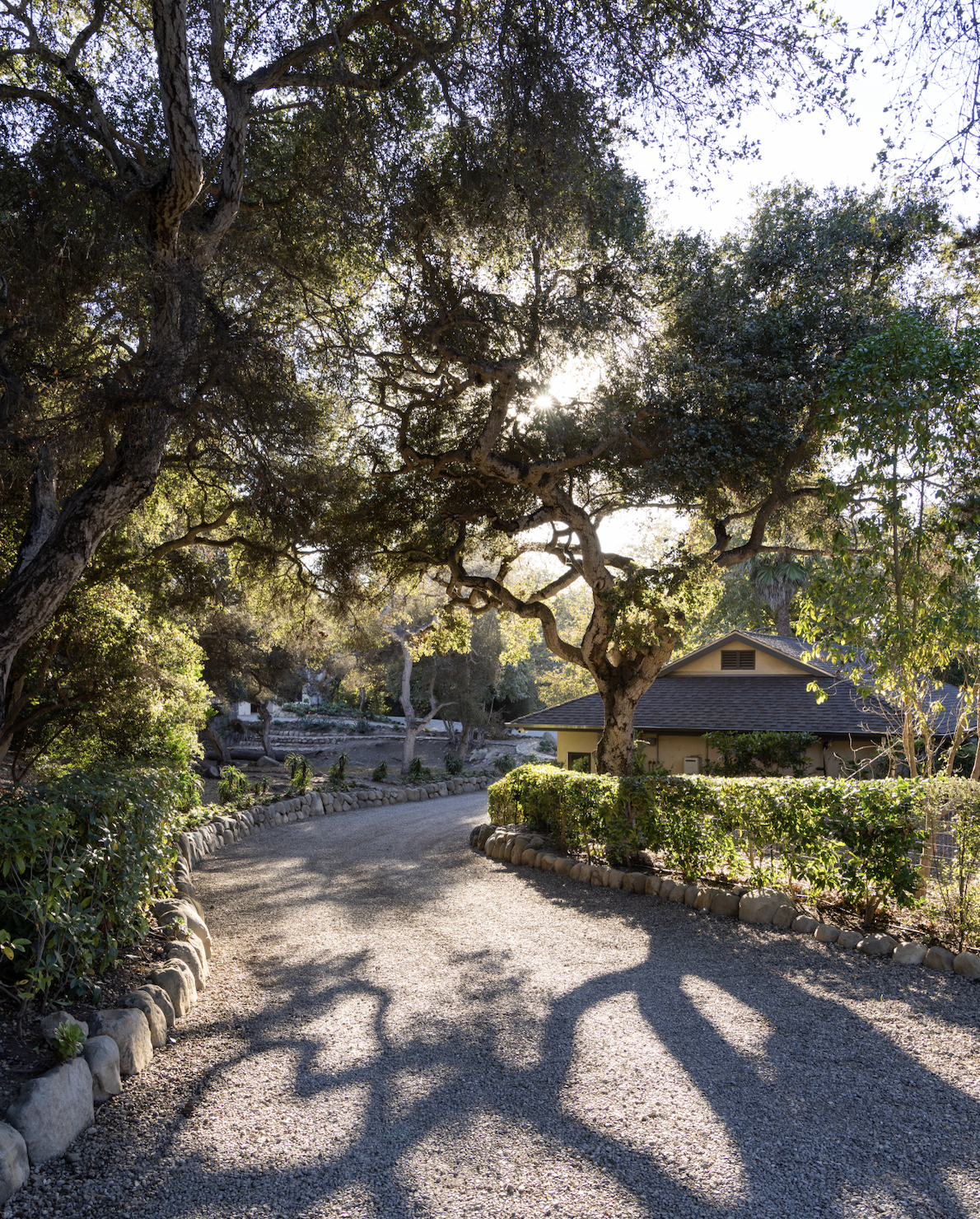 Screenshot 2025-11-05 at 3.04.41 PM.png