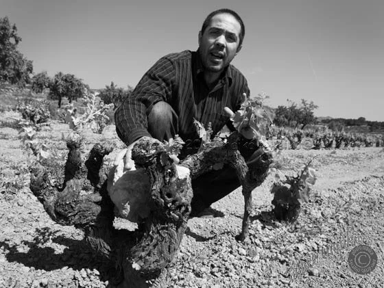 Laureano Serres - Espagne, Tarragon