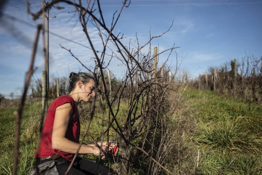 La Grange de Na - France, Jura - Nadège Allouch