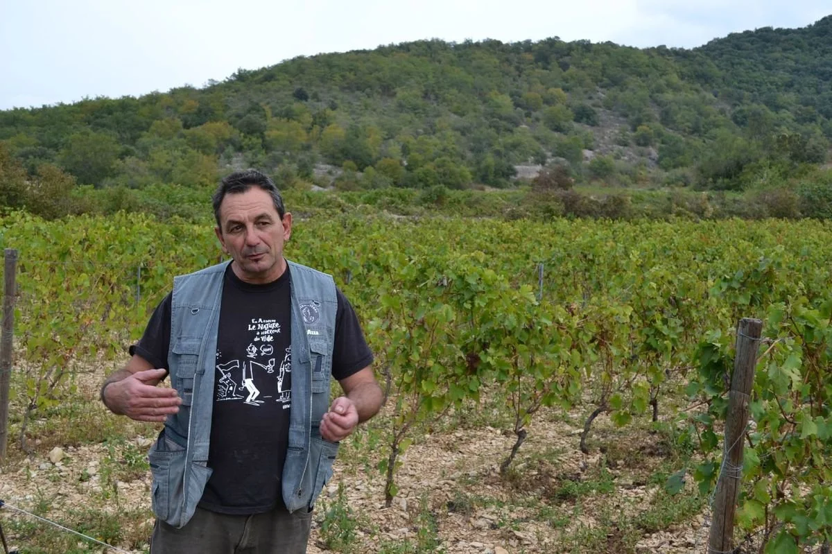 Le raisin et l'ange - France, Ardèche - Gilles et Antonin Azzoni