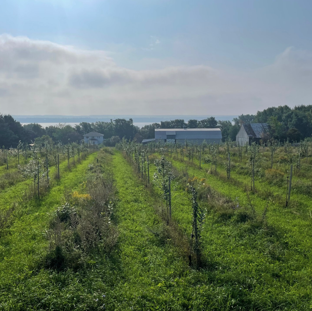 Clos Shanouk - Québec, Île d'Orléans - Daniel Blais