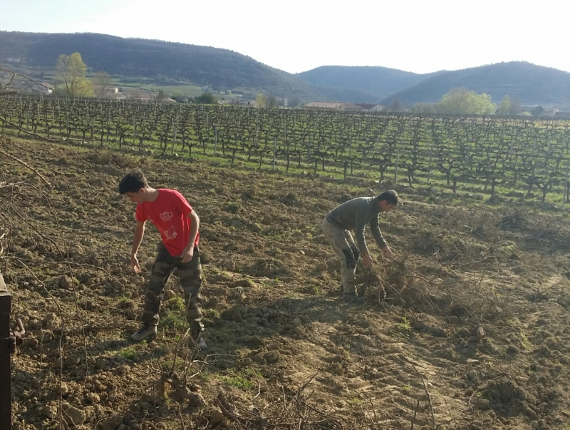 Domaine Des Vigneaux - France, Ardèche - Hélène et Christophe Comtes