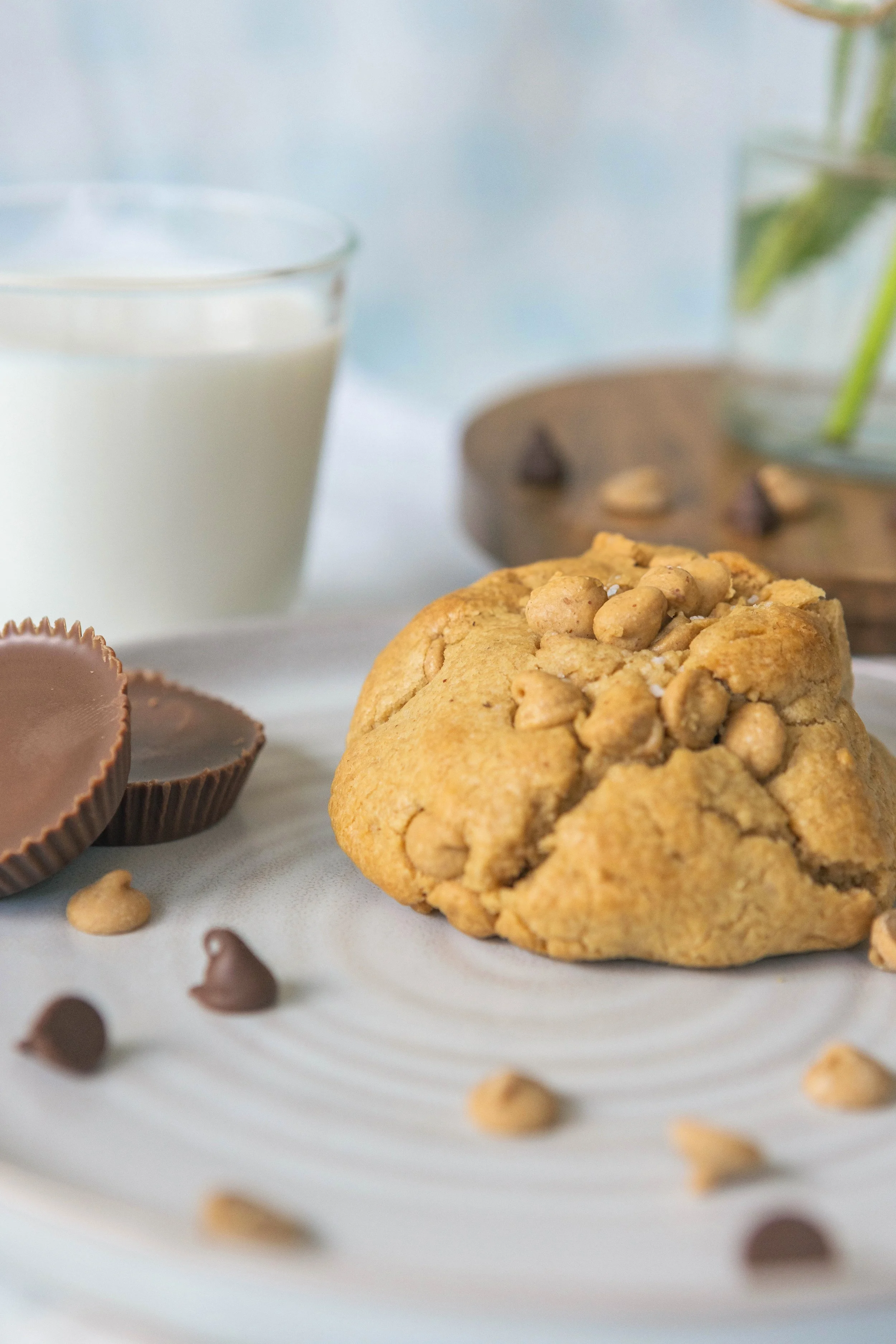 peanut-butter-chip-1 (1).jpg