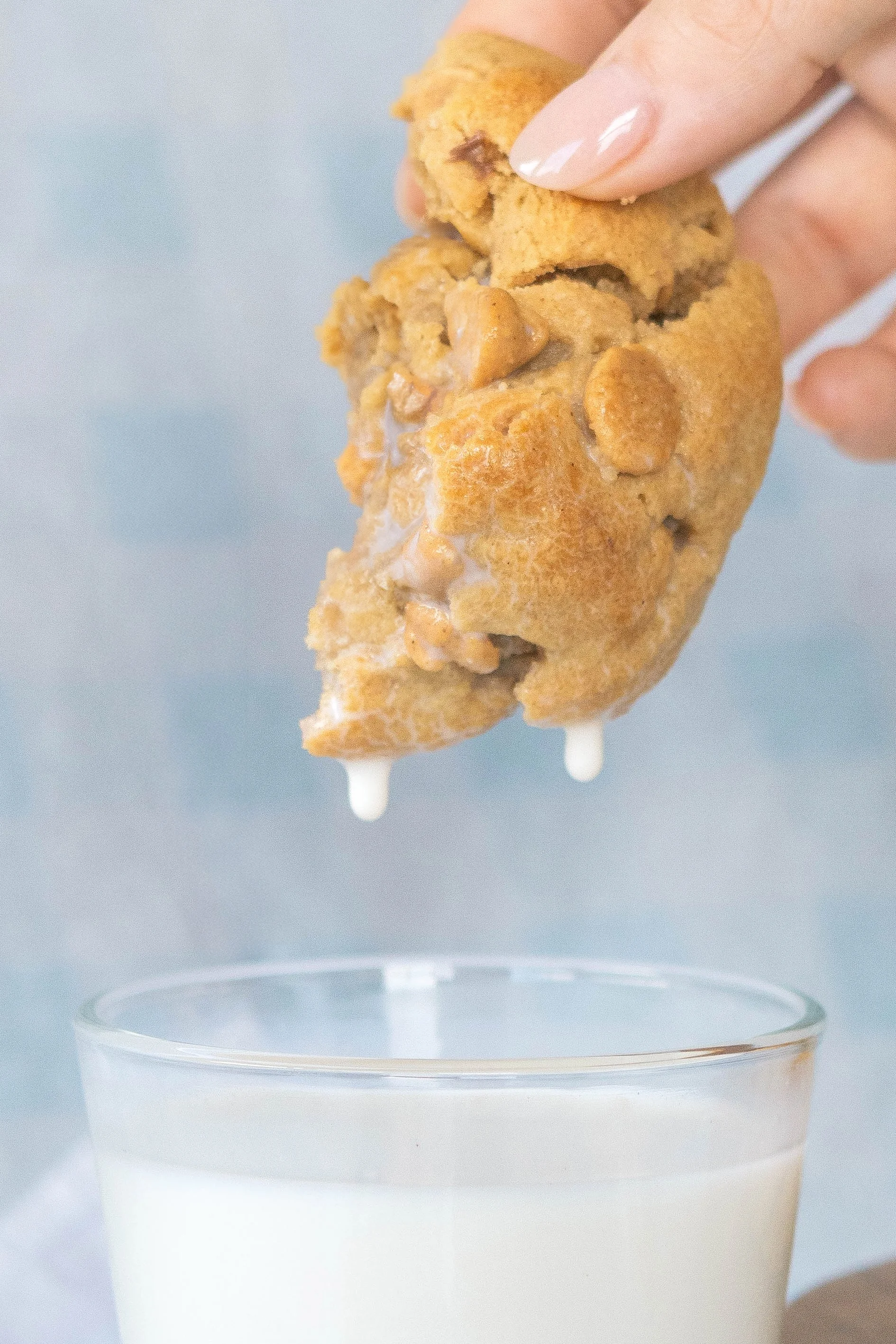 Peanut Butter Lover (unstuffed)