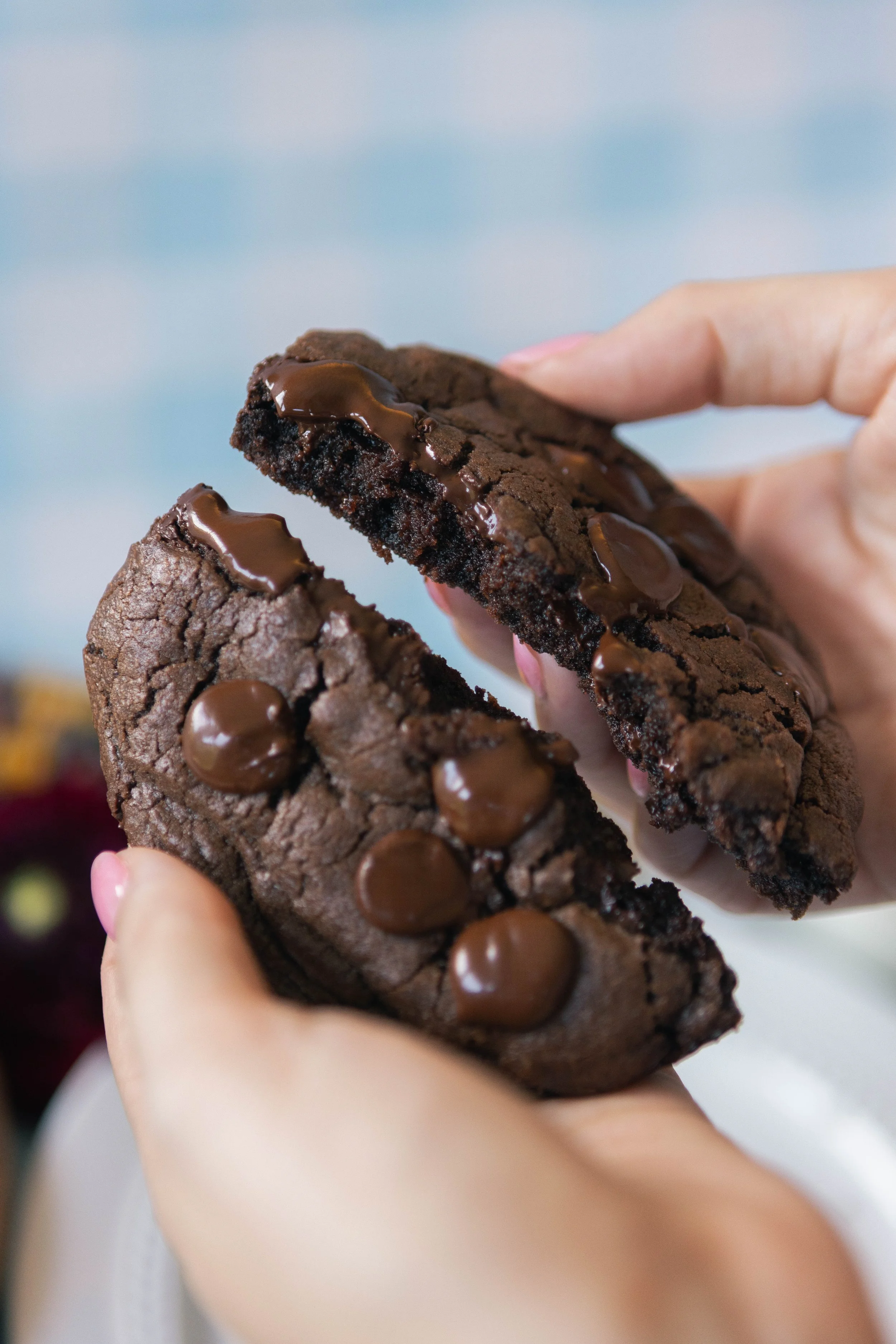 Double Dark Chocolate