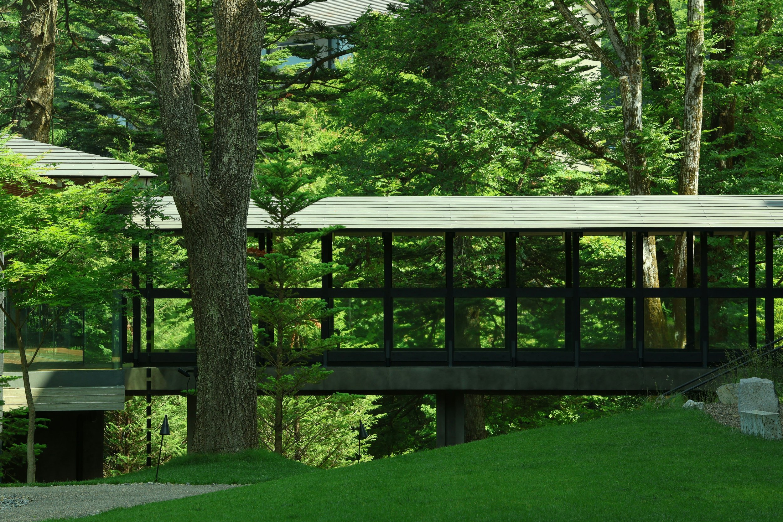 A modern elevated walkway with glass walls, surrounded by lush green trees and a well-maintained grassy area.