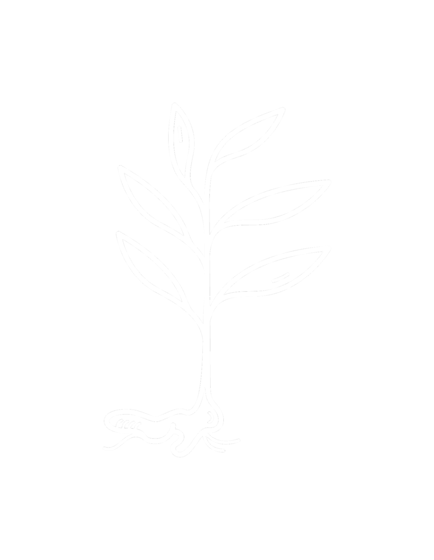 Ginger Root Wellness  (Copy) (Copy) (Copy)