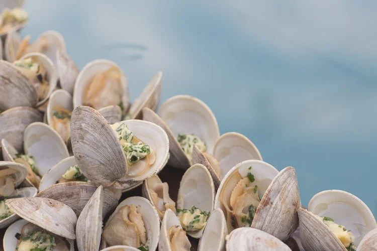 Brita Potenza - Clams