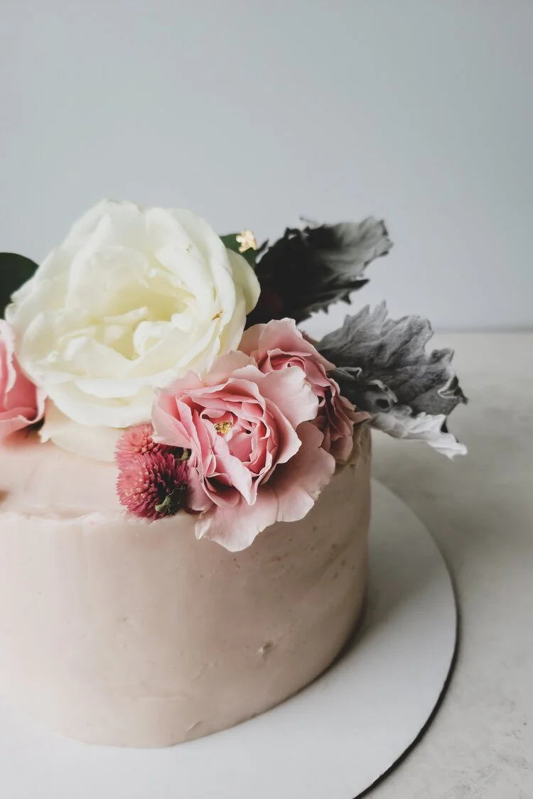 Brita Potenza - Cake