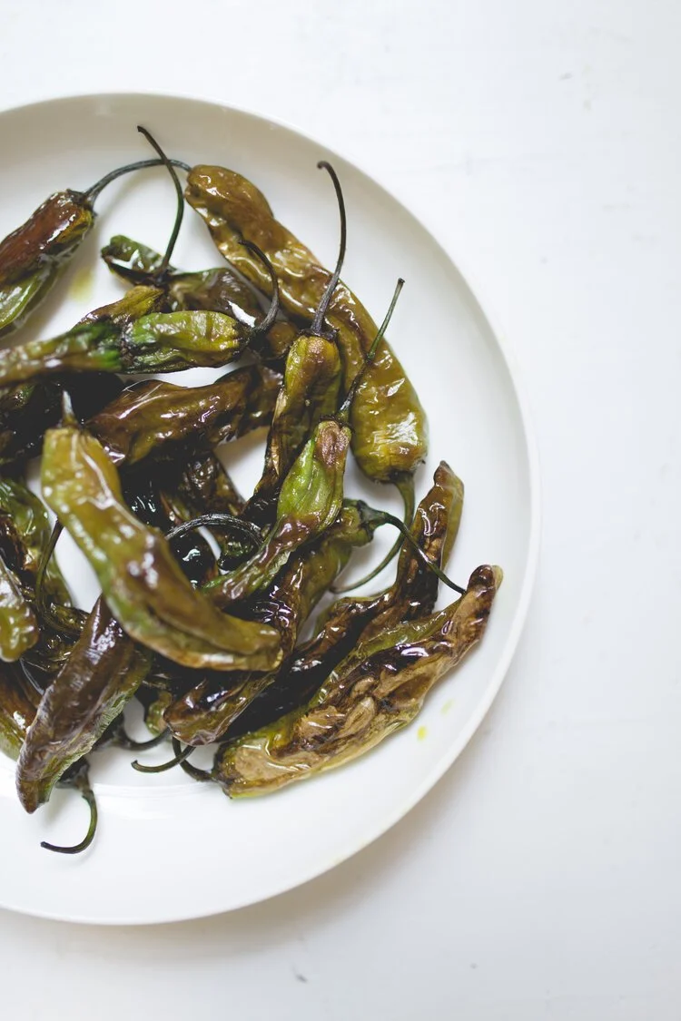 Brita Potenza- Shishito 