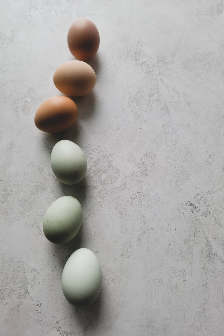 Brita Potenza - Eggs