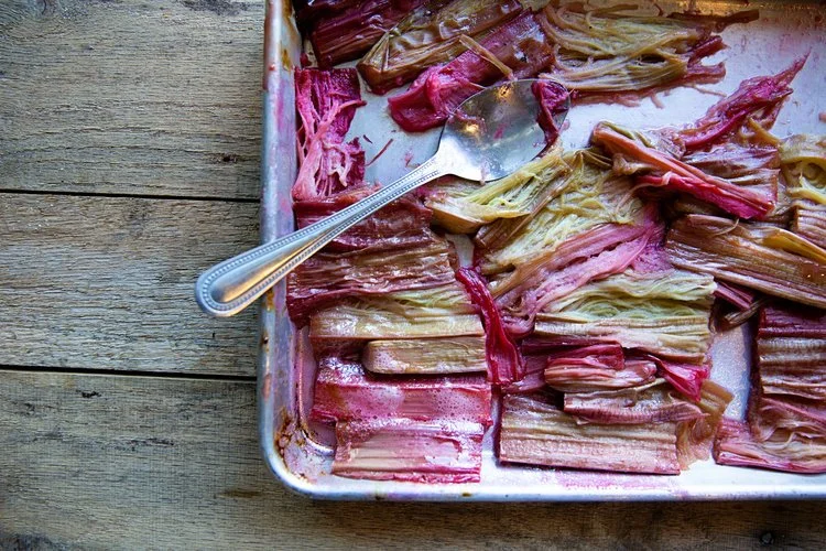 Brita Potenza -Rhubarb 