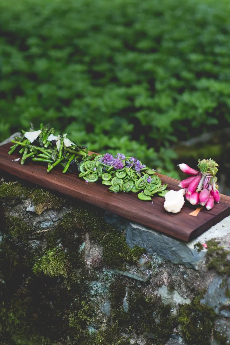 Brita Potenza - Catering