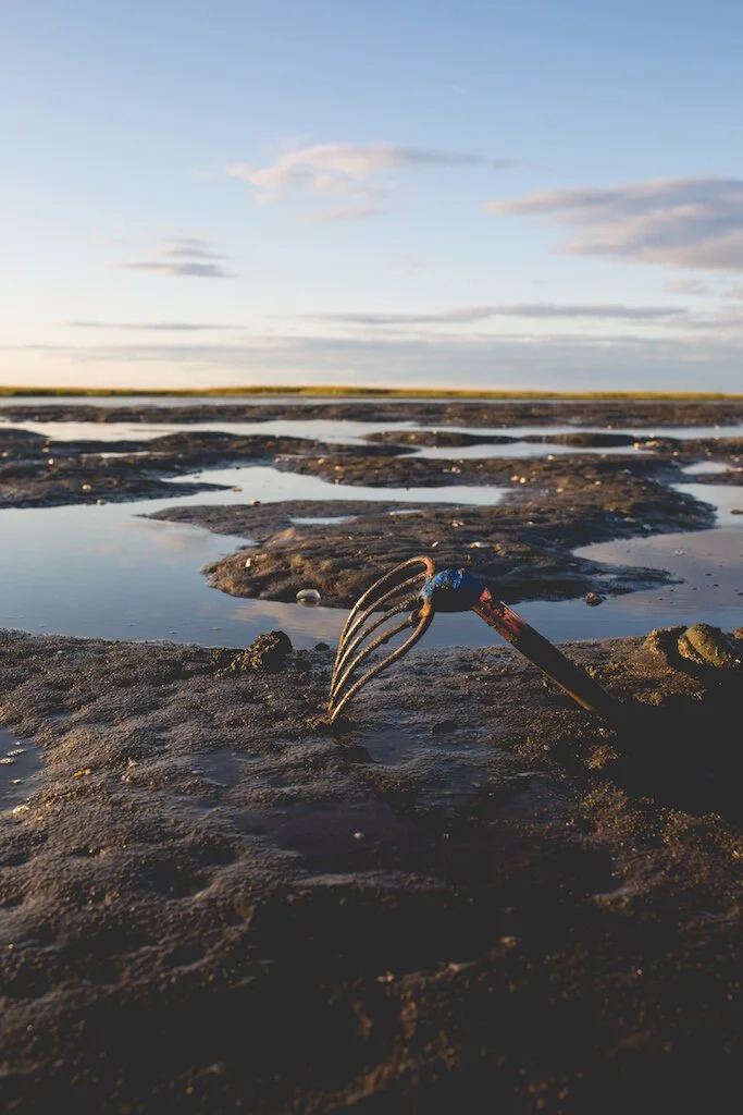 Brita Potenza - Clamming 