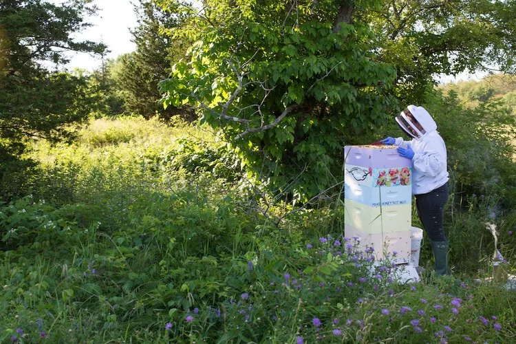 Brita Potenza - Bees