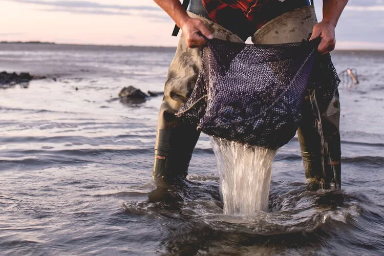 Brita Potenza - Clamming 