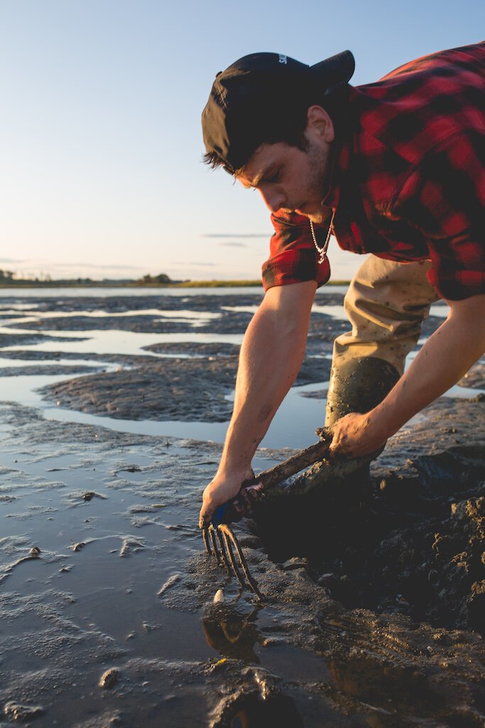 Brita Potenza - Clamming 