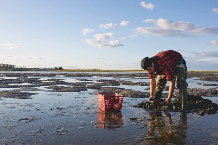 Brita Potenza - Clamming 