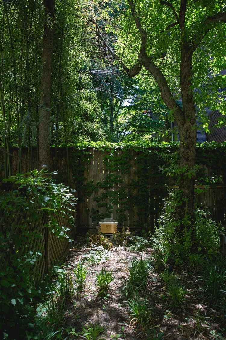 Brita Potenza - Bees