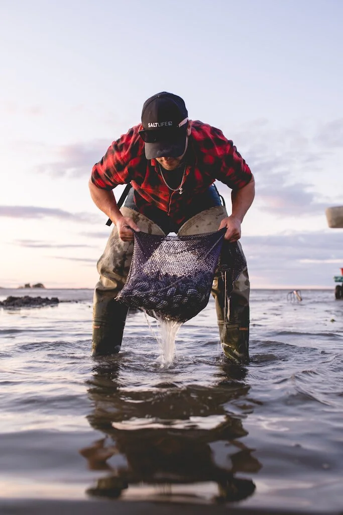 Brita Potenza - Clamming 