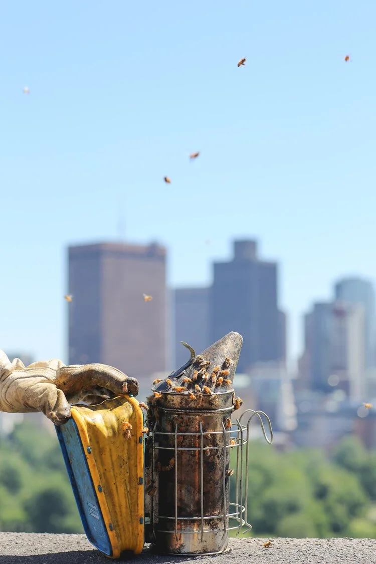 Brita Potenza - Bees