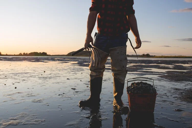 Brita Potenza - Clamming 