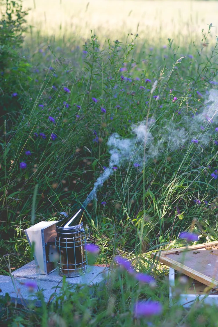 Brita Potenza - Bees