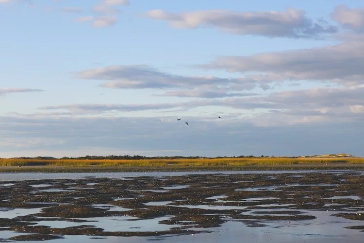 Brita Potenza - Clamming 