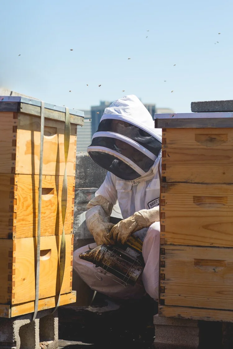 Brita Potenza - Bees