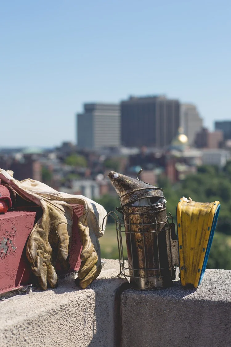 Brita Potenza - Bees