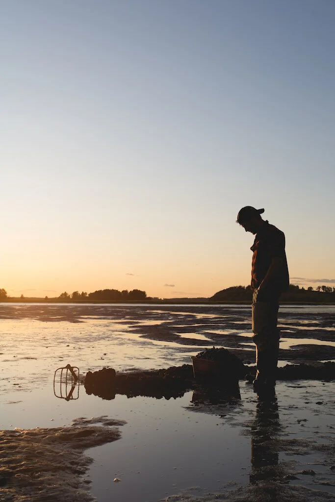 Brita Potenza - Clamming 