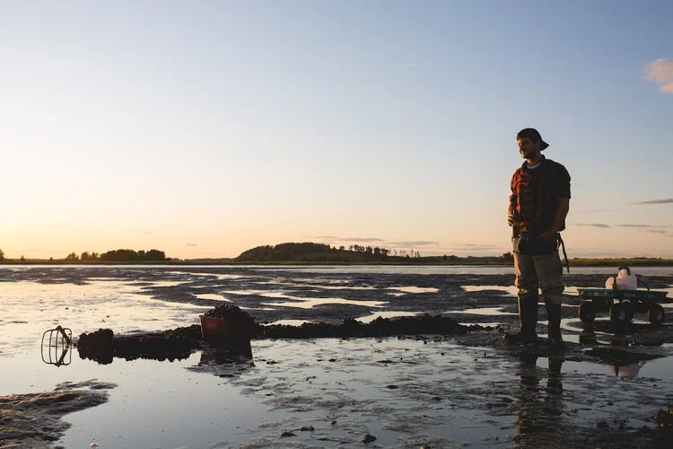 Brita Potenza - Clamming 