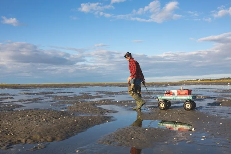 Brita Potenza - Clamming 