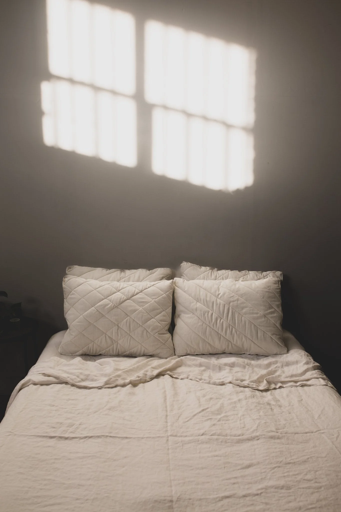 HERD Pillow - moody-13.jpg