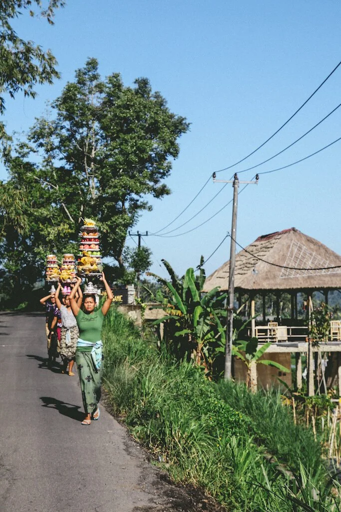 Brita Potenza - Wander