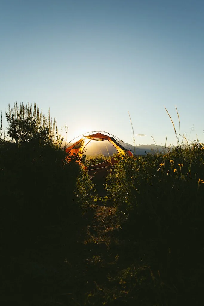 Brita Potenza - Wander