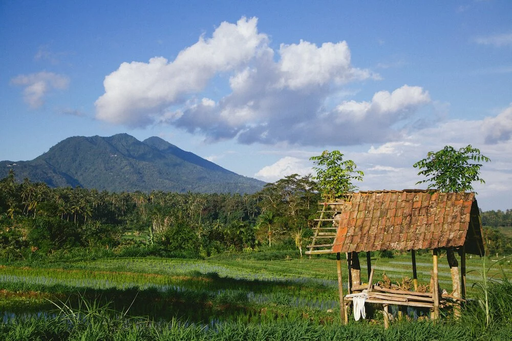 Brita Potenza - Wander