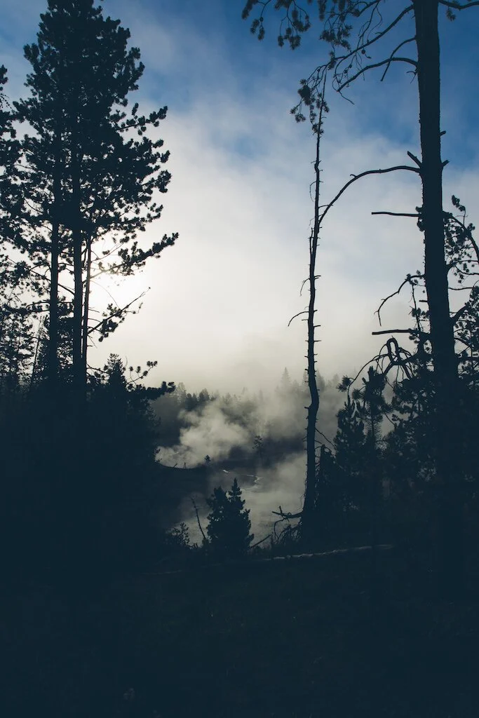 Brita Potenza - Wander