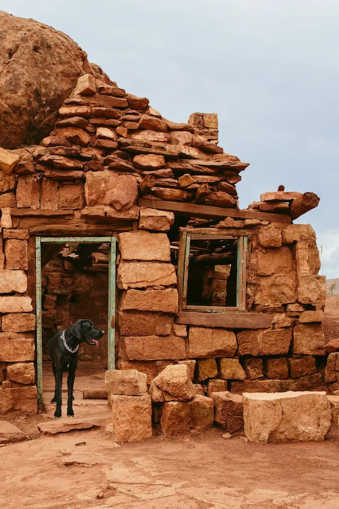 Brita Potenza - Wander