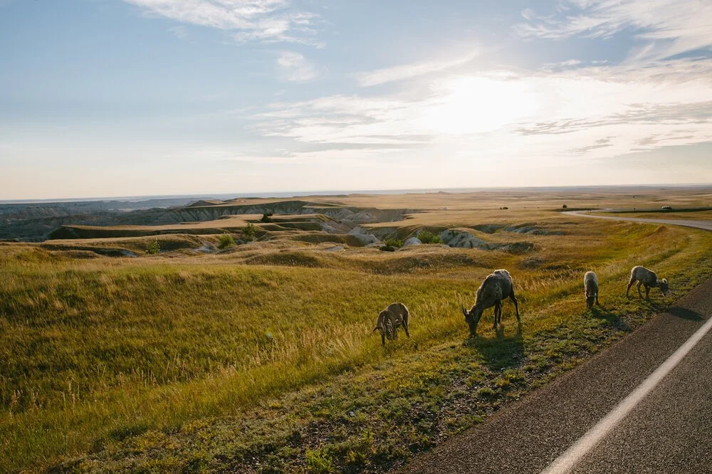 Brita Potenza - Wander