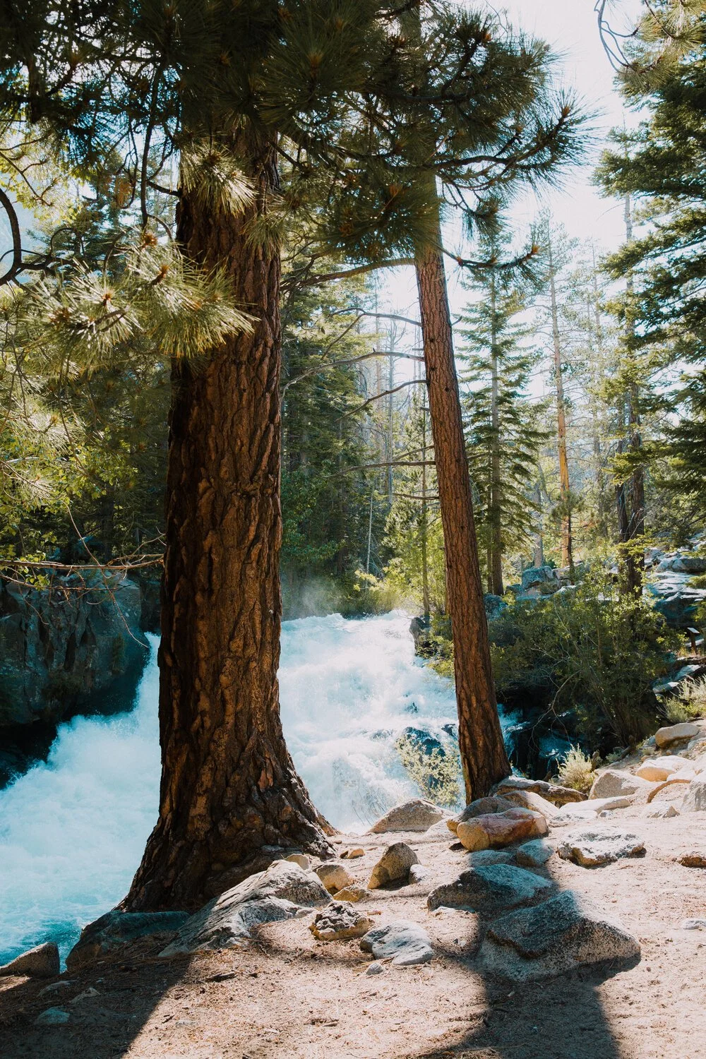 Brita Potenza - Wander